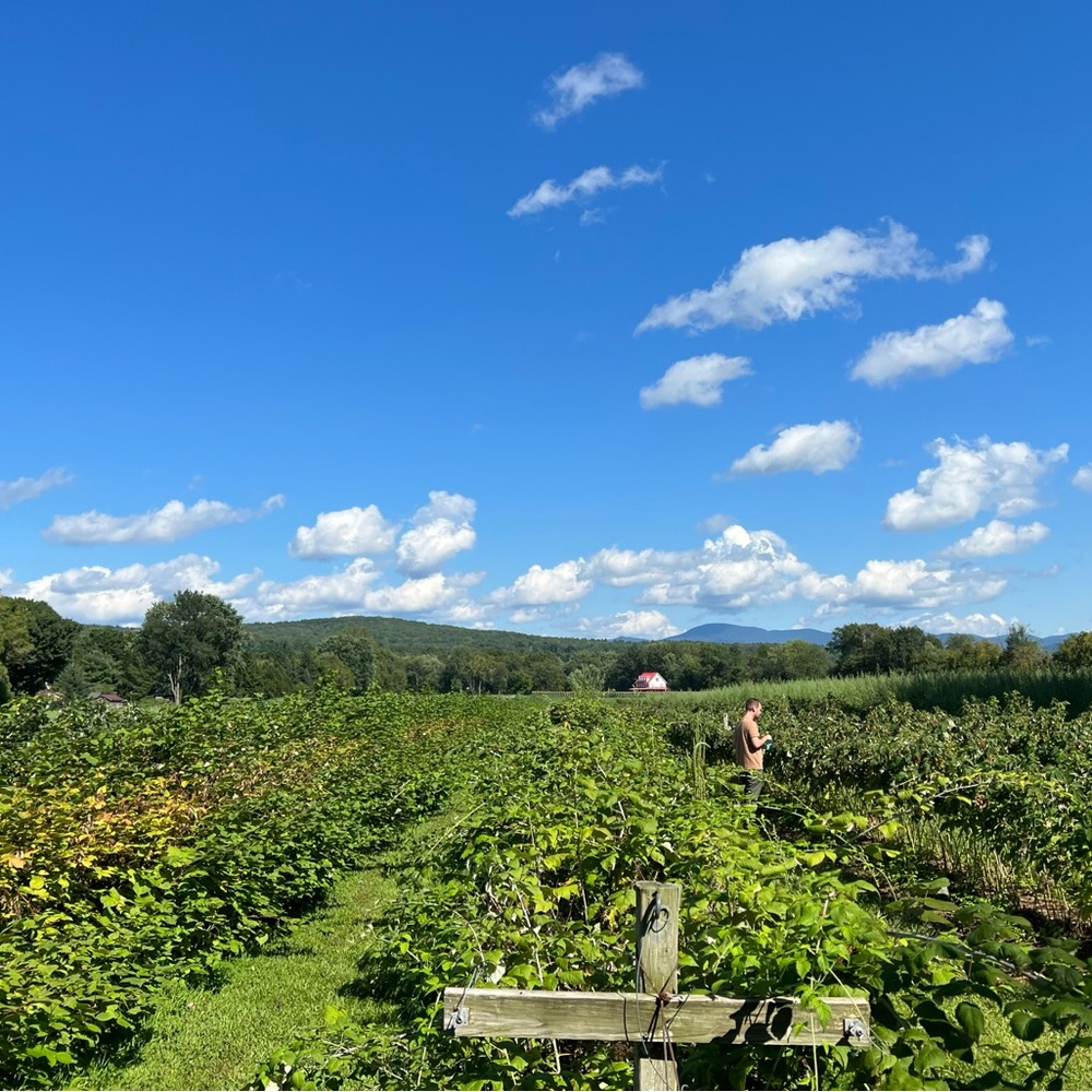 Meet your Posher, Curtis